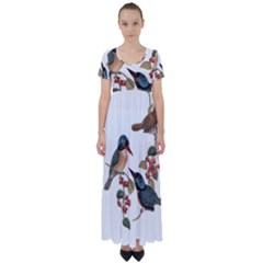 Bird Birds Branch Flowers Vintage High Waist Short Sleeve Maxi Dress by Sapixe