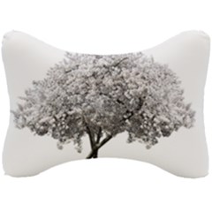 Nature Tree Blossom Bloom Cherry Seat Head Rest Cushion