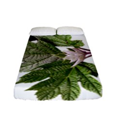 Leaves Plant Branch Nature Foliage Fitted Sheet (full/ Double Size)