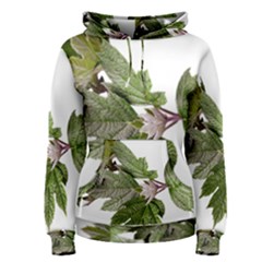 Leaves Plant Branch Nature Foliage Women s Pullover Hoodie by Sapixe