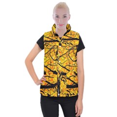 Golden Vein Women s Button Up Vest by FunnyCow