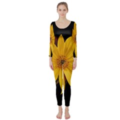 Sun Flower Blossom Bloom Particles Long Sleeve Catsuit by Nexatart