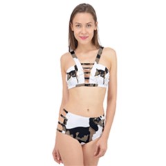 Black White Dog Beagle Pet Animal Cage Up Bikini Set by Sapixe