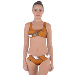 Squirrel Animal Pet Criss Cross Bikini Set by Sapixe