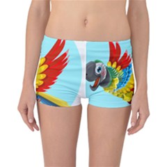 Parrot Animal Bird Wild Zoo Fauna Reversible Boyleg Bikini Bottoms by Sapixe