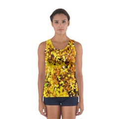 Birch Tree Yellow Leaves Sport Tank Top  by FunnyCow