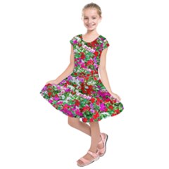 Colorful Petunia Flowers Kids  Short Sleeve Dress by FunnyCow