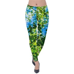 Forest   Strain Towards The Light Velvet Leggings by FunnyCow