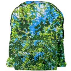 Forest   Strain Towards The Light Giant Full Print Backpack by FunnyCow