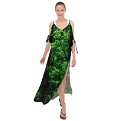 Emerald Forest Maxi Chiffon Cover Up Dress by FunnyCow