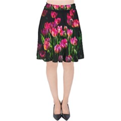 Pink Tulips Dark Background Velvet High Waist Skirt by FunnyCow