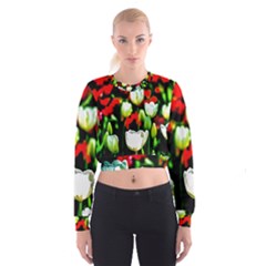 White And Red Sunlit Tulips Cropped Sweatshirt by FunnyCow