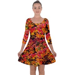 Orange, Yellow Cotoneaster Leaves In Autumn Quarter Sleeve Skater Dress by FunnyCow