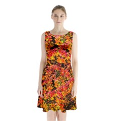 Orange, Yellow Cotoneaster Leaves In Autumn Sleeveless Waist Tie Chiffon Dress by FunnyCow