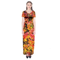 Orange, Yellow Cotoneaster Leaves In Autumn Short Sleeve Maxi Dress by FunnyCow