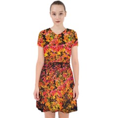 Orange, Yellow Cotoneaster Leaves In Autumn Adorable In Chiffon Dress by FunnyCow