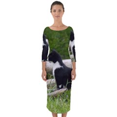 Farm Cat Quarter Sleeve Midi Bodycon Dress by IIPhotographyAndDesigns