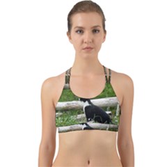 Farm Cat Back Web Sports Bra by IIPhotographyAndDesigns