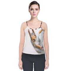 Curious Squirrel Velvet Spaghetti Strap Top by FunnyCow