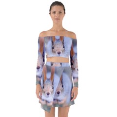 Squirrel Looks At You Off Shoulder Top With Skirt Set by FunnyCow
