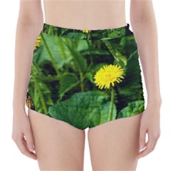 Yellow Dandelion Flowers In Spring High-waisted Bikini Bottoms by FunnyCow