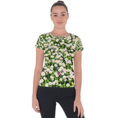 Green Field Of White Daisy Flowers Short Sleeve Sports Top  by FunnyCow