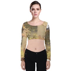 Vintage 1650586 1920 Velvet Crop Top