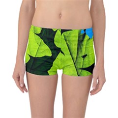 Window Of Opportunity Reversible Boyleg Bikini Bottoms by FunnyCow