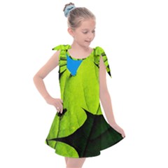 Window Of Opportunity Kids  Tie Up Tunic Dress by FunnyCow