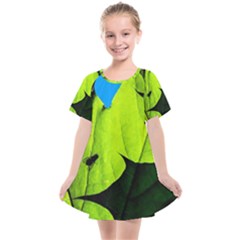 Window Of Opportunity Kids  Smock Dress by FunnyCow