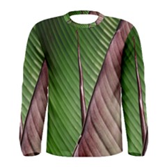 Leaf Banana Leaf Greenish Lines Men s Long Sleeve Tee by Sapixe