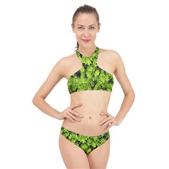 Green Hedge Texture Yew Plant Bush Leaf High Neck Bikini Set