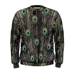 Background Peacock Feathers Men s Sweatshirt by Sapixe