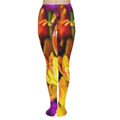 Fancy Tulip Flowers In Spring Tights by FunnyCow