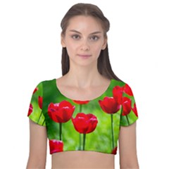 Red Tulip Flowers, Sunny Day Velvet Short Sleeve Crop Top 