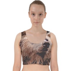 Bear Looking Velvet Racer Back Crop Top