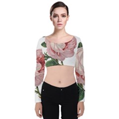 Rose 1078272 1920 Velvet Long Sleeve Crop Top