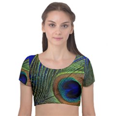 Peacock Feather Macro Peacock Bird Velvet Short Sleeve Crop Top 