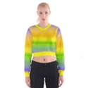 Ombre Cropped Sweatshirt View1