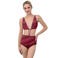 Tube Plastic Red Rip Tied Up Two Piece Swimsuit by Celenk