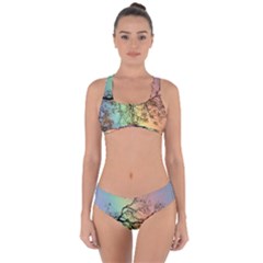 Rainbow Branch Boxer Shorts Criss Cross Bikini Set by Simbadda