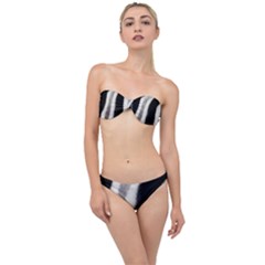 Stella Animal Print Classic Bandeau Bikini Set by NSGLOBALDESIGNS2