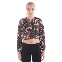 Victoria s Secret One Cropped Sweatshirt by NSGLOBALDESIGNS2