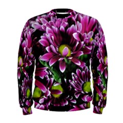 Maroon And White Mums Men s Sweatshirt by bloomingvinedesign