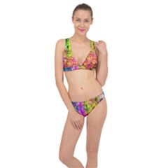 Color Abstract Artifact Pixel Classic Banded Bikini Set 