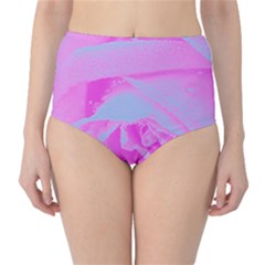 Perfect Hot Pink And Light Blue Rose Detail Classic High-waist Bikini Bottoms by myrubiogarden