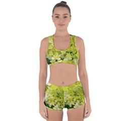 Elegant Chartreuse Green Limelight Hydrangea Macro Racerback Boyleg Bikini Set by myrubiogarden