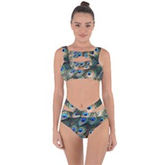 Peacock Feathers Bird Colorful Bandaged Up Bikini Set  by Wegoenart