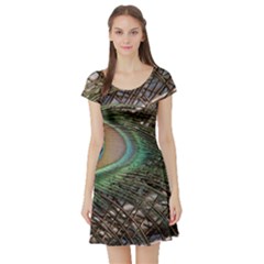 Peacock Tail Feathers Short Sleeve Skater Dress by Wegoenart