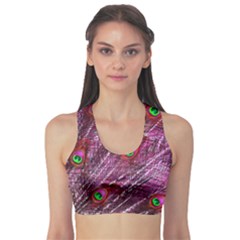 Peacock Feathers Color Plumage Sports Bra